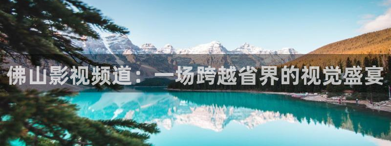 樱花视频影院：佛山影视频道：一场跨越省界的视觉盛宴