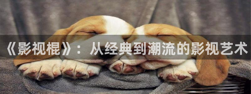 樱花视频看：《影视棍》：从经典到潮流的影视艺术