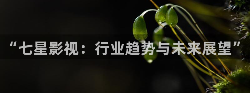 樱花视频在线看视频