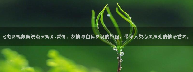 樱花影视免费：《电影视频解说杰罗姆》:爱情、友情与自我发现的旅程，带你人类心灵深处的情感世界。