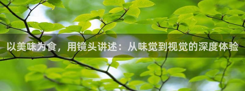 樱花影视在线观看免费：以美味为食，用镜头讲述：从味觉到视觉的深度体验
