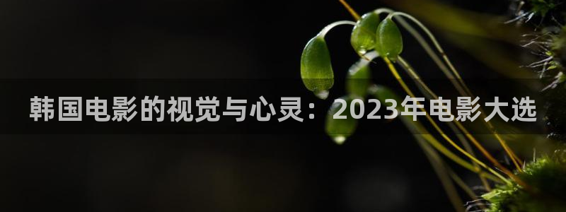 东湖樱花视频：韩国电影的视觉与心灵：2023年电影大选