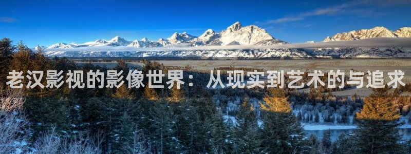 樱花视频成人：老汉影视的影像世界：从现实到艺术的与追求