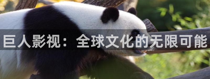 我为卿狂樱花影视：巨人影视：全球文化的无限可能