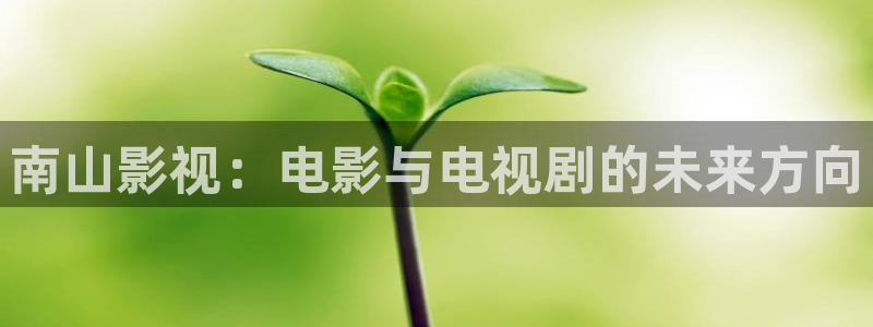 樱花视频软：南山影视：电影与电视剧的未来方向