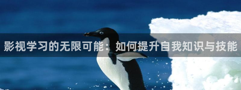 樱花视频 黄：影视学习的无限可能：如何提升自我知识与技能