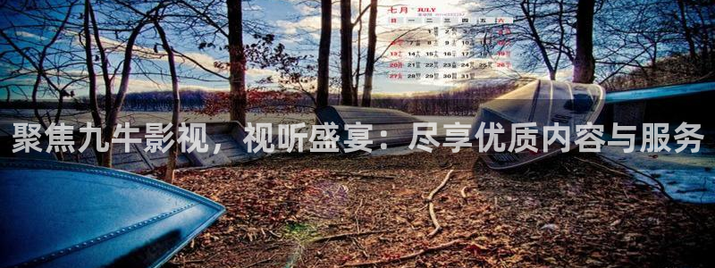 我能触碰你的深处吗樱花视频：聚焦九牛影视，视听盛宴：尽享优质内容与服务