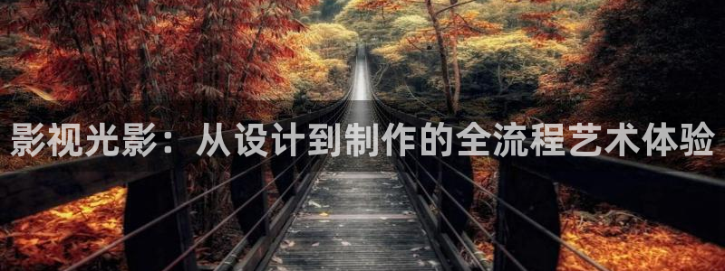 樱花视频在线www免费观看：影视光影：从设计到制作的全流程艺术体验