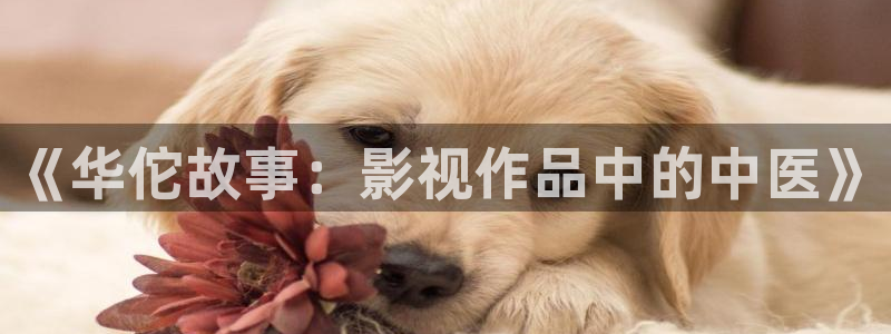 樱花影院电影电视剧免费：《华佗故事：影视作品中的中医》