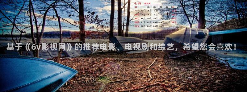 樱花视频电影完整版：基于《6v影视网》的推荐电影、电视剧和综艺，希望您会喜欢！
