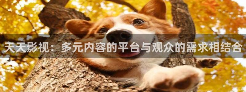 樱花视频最新地址：天天影视：多元内容的平台与观众的需求相结合