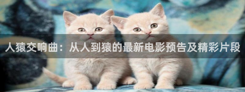 樱花影视电影免费观看全集：人猿交响曲：从人到猿的最新电影预告及精彩片段