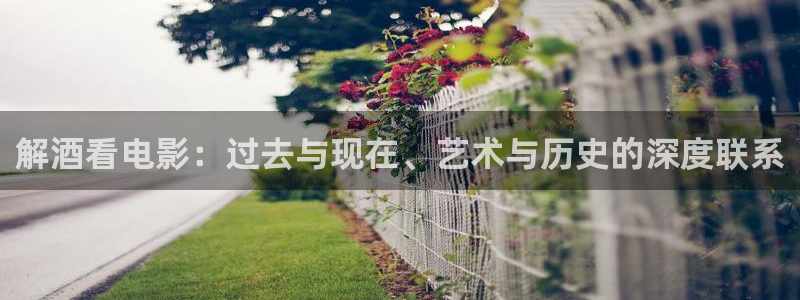 樱花视频18+