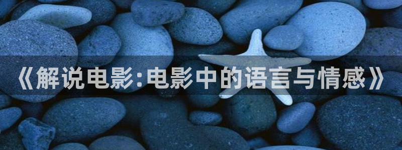 樱花影院在线观看免费动漫电视剧：《解说电影:电影中的语言与情感》