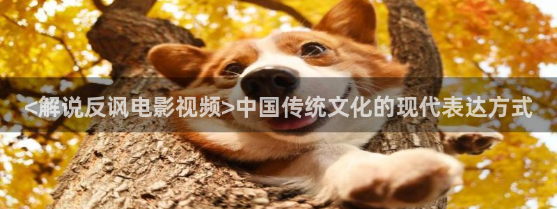 樱花视频三