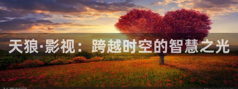 免费观看樱花影