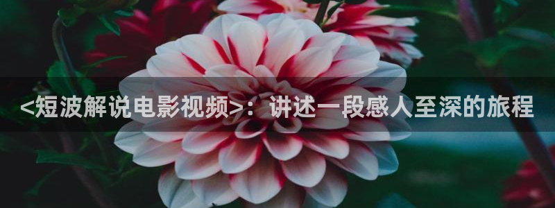樱花影视热门电视剧有哪些：<短波解说电影视频>：讲述一段感人至深的旅程