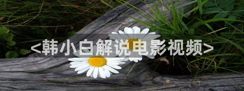 樱花视频在线视频：<韩小白解说电影视频>