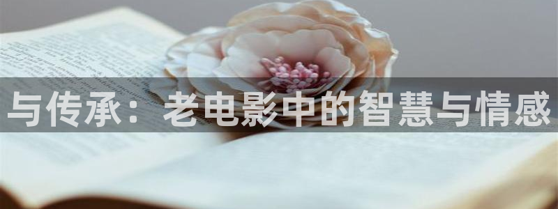 樱花视频在线观看完整版：与传承：老电影中的智慧与情感