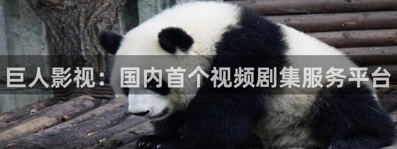 喜羊羊与灰太狼樱花视频：巨人影视：国内首个视频剧集服务平台