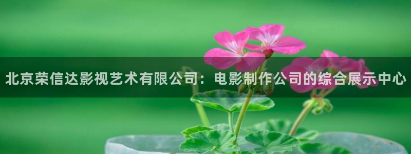 樱花影视免费追剧观看大全：北京荣信达影视艺术有限公司：电影制作公司的综合展示中心