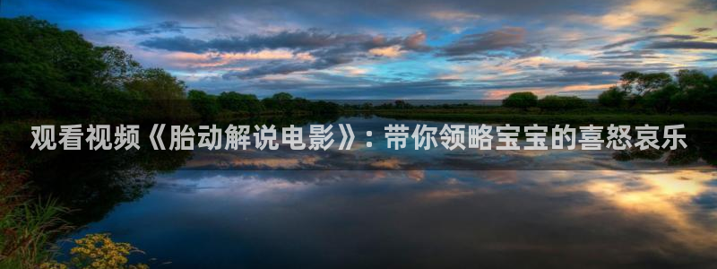 樱花影院电影：观看视频《胎动解说电影》: 带你领略宝宝的喜怒哀乐