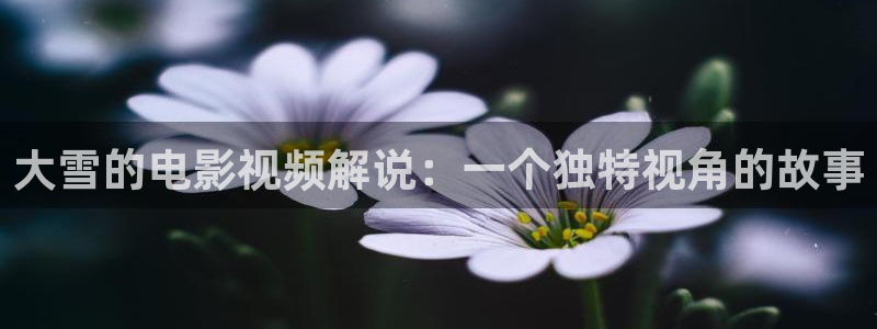 樱花影视大全免费：大雪的电影视频解说：一个独特视角的故事