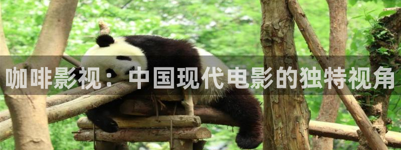 樱花视频直播：咖啡影视：中国现代电影的独特视角
