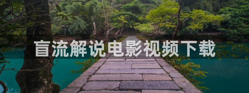 .樱花视频.：盲流解说电影视频下载