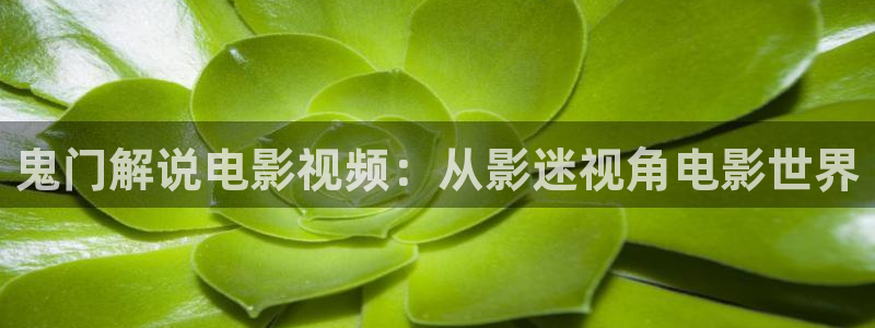 樱花影视大全在线观看电影：鬼门解说电影视频：从影迷视角电影世界