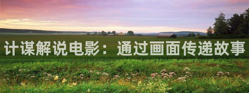 樱花影视伦理：计谋解说电影：通过画面传递故事