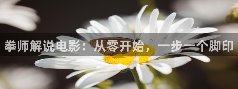 独步逍遥樱花视频：拳师解说电影：从零开始，一步一个脚印
