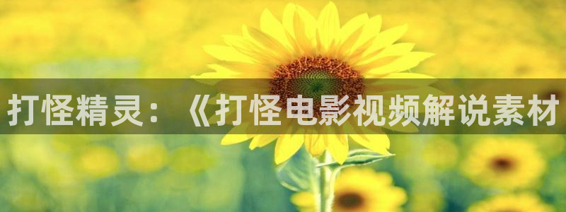 樱花影院在线观看电视：打怪精灵：《打怪电影视频解说素材