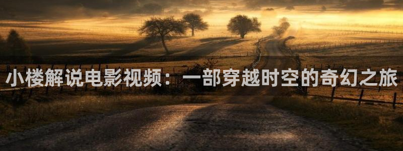 樱花视频大全集：小楼解说电影视频：一部穿越时空的奇幻之旅