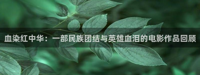 樱花视频黄：血染红中华：一部民族团结与英雄血泪的电影作品回顾