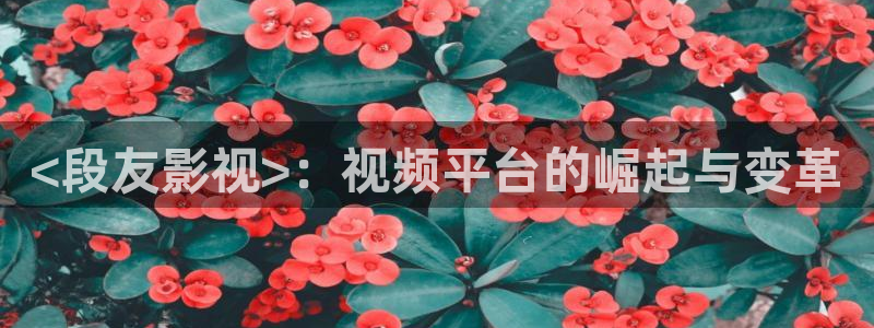 樱花影视在线免费看：<段友影视>：视频平台的崛起与变革
