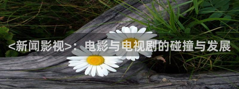 樱花视频 在线：<新闻影视>：电影与电视剧的碰撞与发展