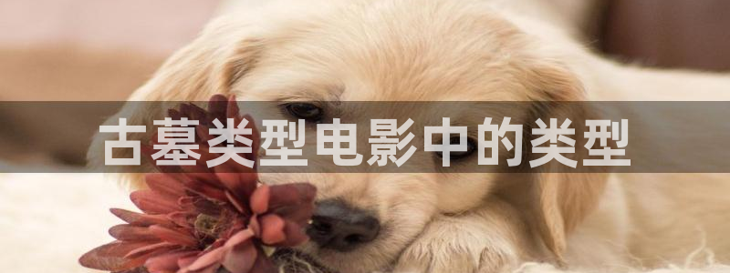 www樱花视频：古墓类型电影中的类型
