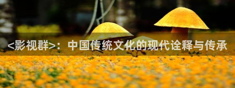 免费观看樱花影视大全：<影视群>：中国传统文化的现代诠释与传承