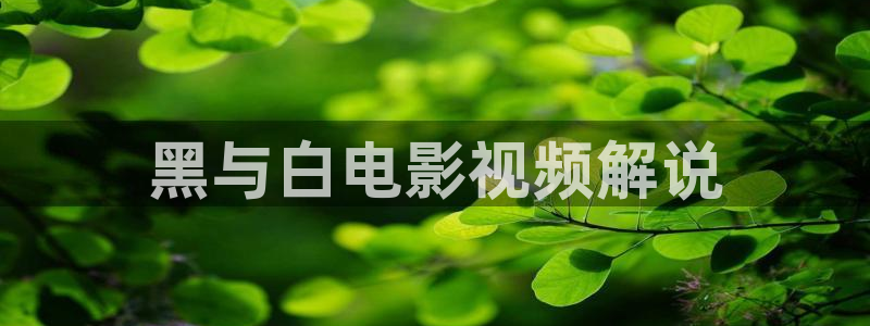 樱花影视电视剧免费观看：黑与白电影视频解说