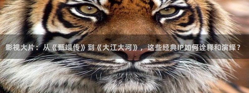 樱花视频观看：影视大片：从《甄嬛传》到《大江大河》，这些经典IP如何诠释和演绎？