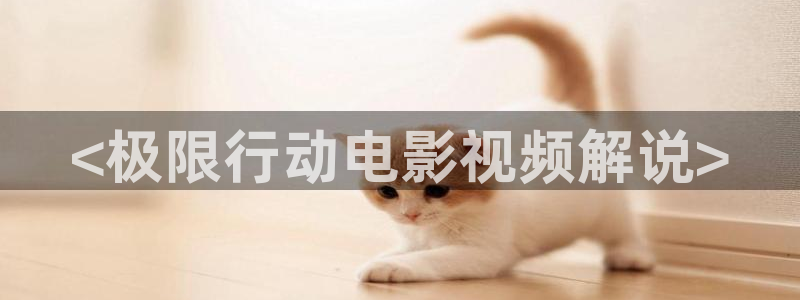 樱花视频 91：<极限行动电影视频解说>