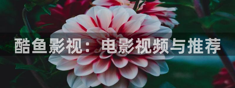 樱花视频高清完整版：酷鱼影视：电影视频与推荐