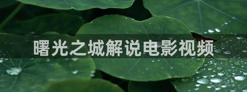 樱花视频图片：曙光之城解说电影视频