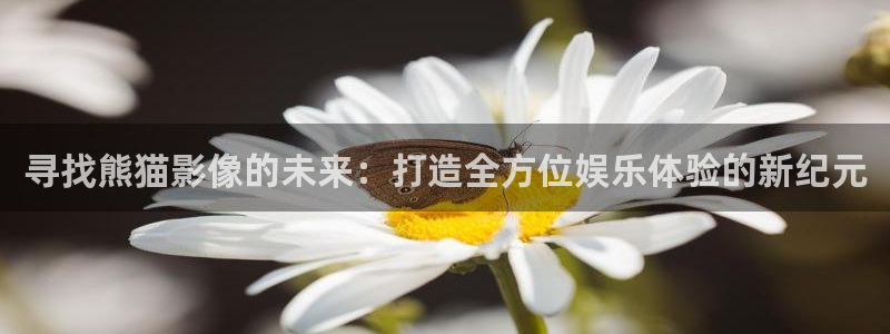 樱花视频免费版高清在线观看