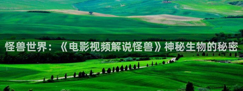 樱花视频…