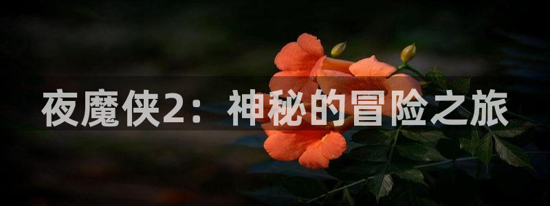 樱花视频免费观看电视剧下载