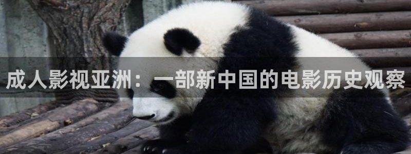 樱花影视大全高清完整版