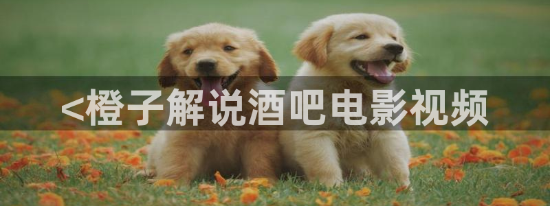 樱花影院在线观看高清电视剧