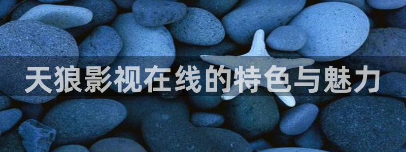 动漫樱花影视